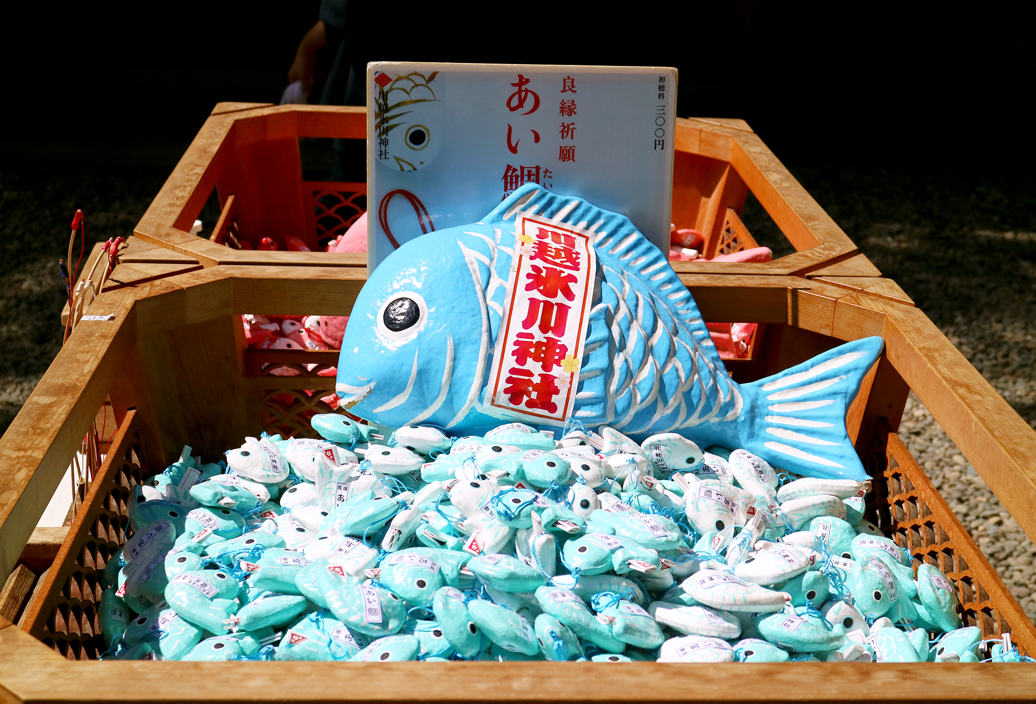 あい鯛みくじ水色