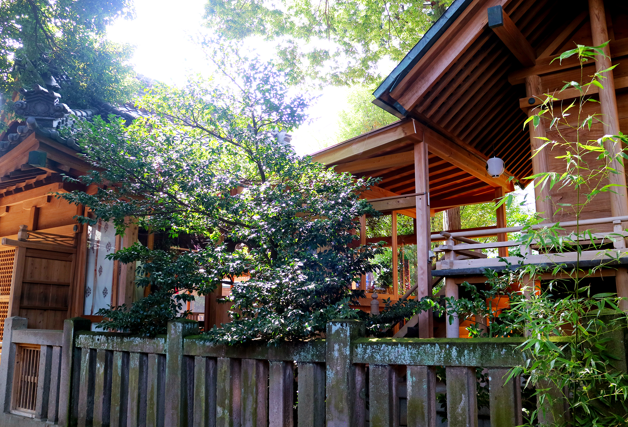 川越熊野神社本殿・拝殿