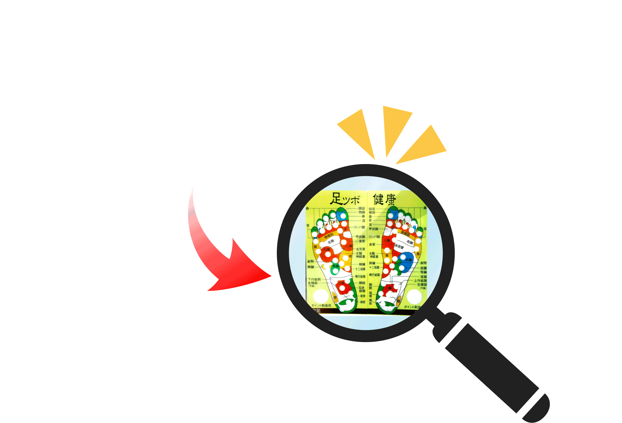 足踏み健康ロード拡大鏡